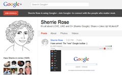 google-bar-new-sherrie-rose