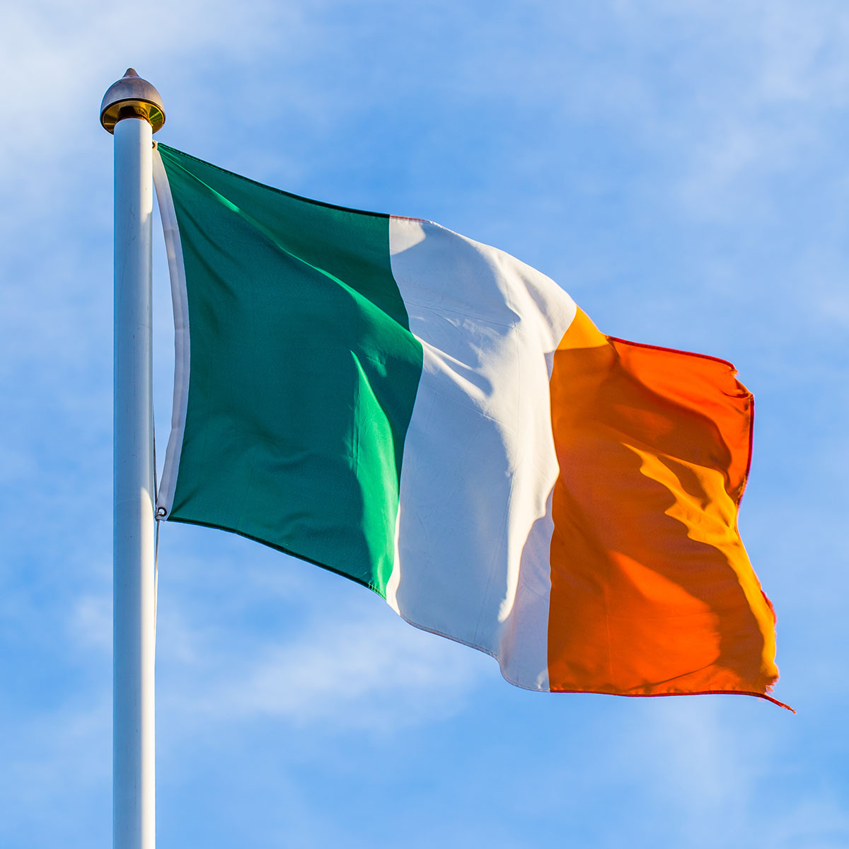 Irish,Flag,
