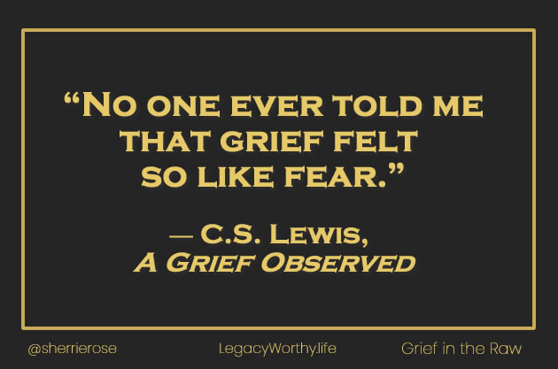 No one ever told me that grief felt so like fear