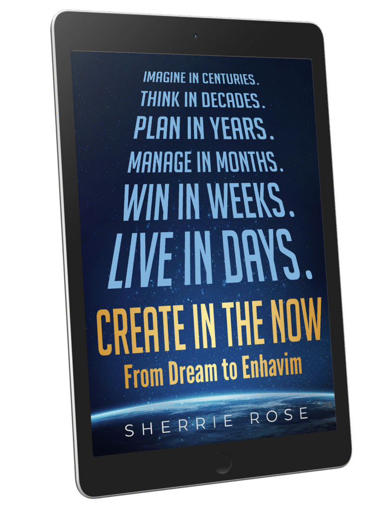create-in-the-now-ipad Book by Sherrie Rose From Dream to Enhavim