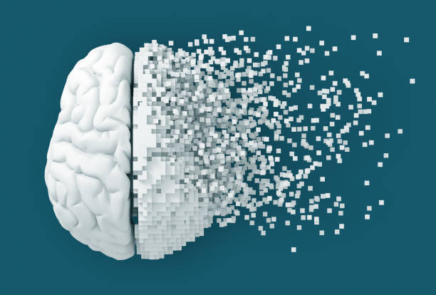 Transmit wisdom brain